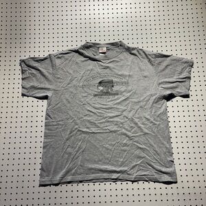Disney Gray Short Sleeve Men's Tee